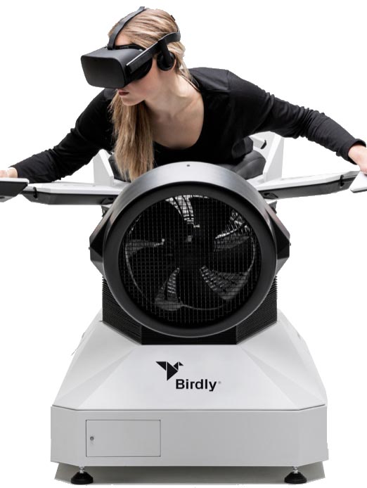 Birdly