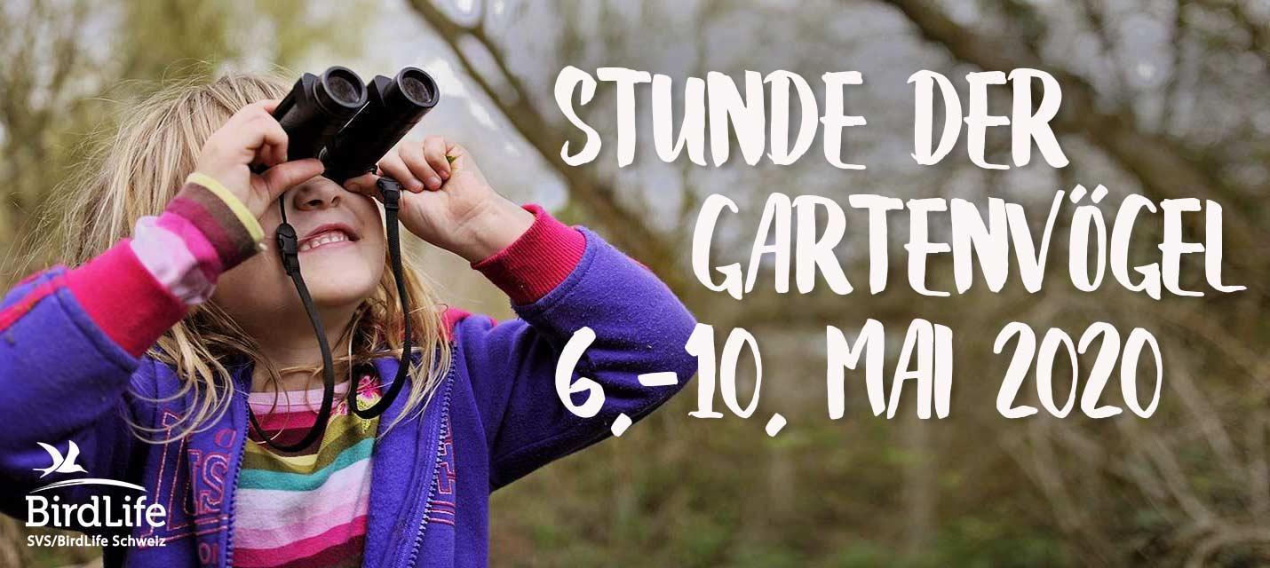 Stunde der Gartenvögel 6.–10. Mai 2020