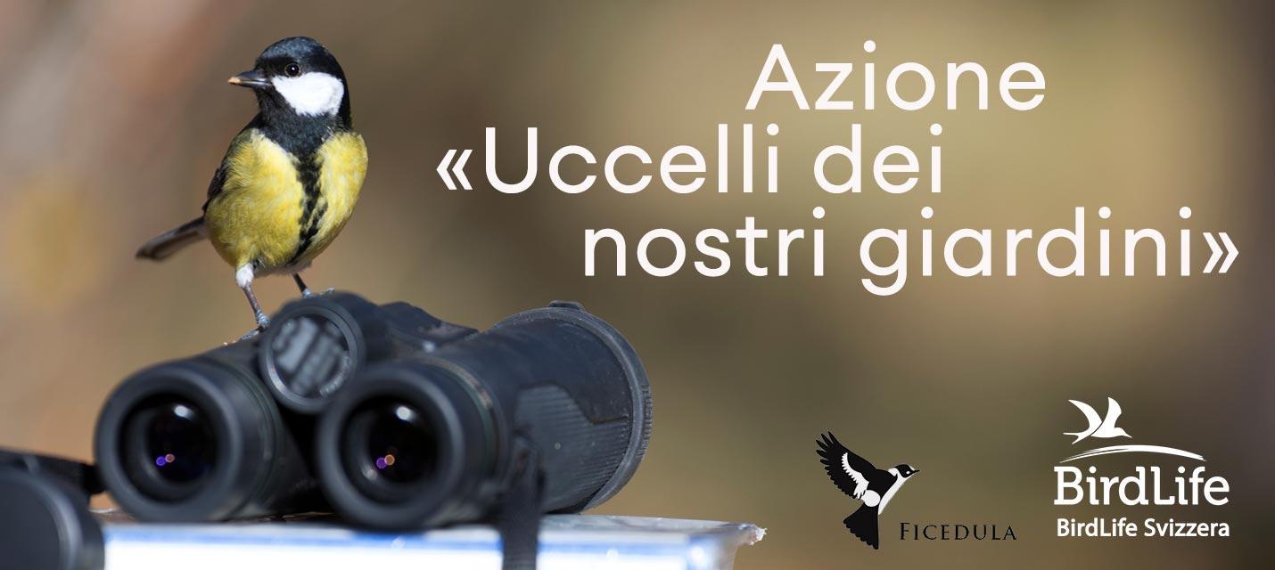 Logo azione uccelli dei nostri giardini 2023