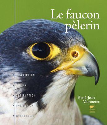 Le faucon pèlerin