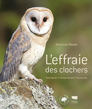 Titre du livre L'effraie des clochers