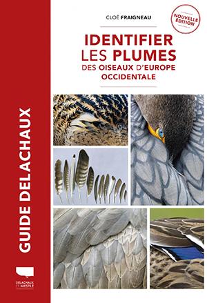 Identifier les plumes des oiseaux d'Europe occidentale