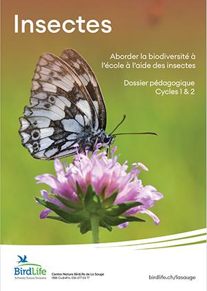 Dossier pédagogique insectes