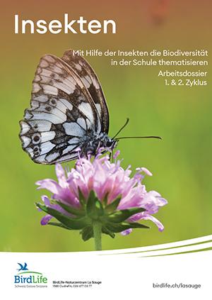 Arbeitsdossier Insekten