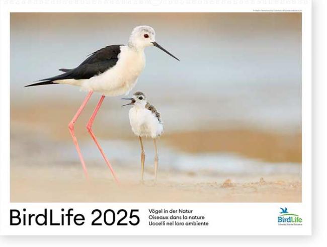 BirdLife-Kalender 2025