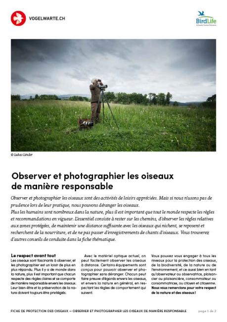 Observer et photographier les oiseaux de manière responsable