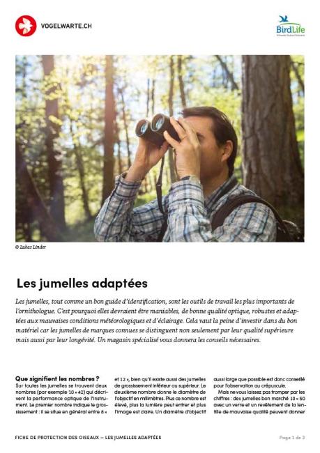 Les jumelles adaptées