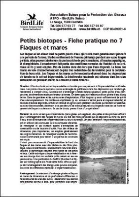 Petits biotopes – Flaques et mares