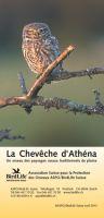 La Chevêche d’Athéna