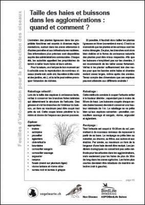 Quand et comment tailler les haies et buissons dans les agglomérations?